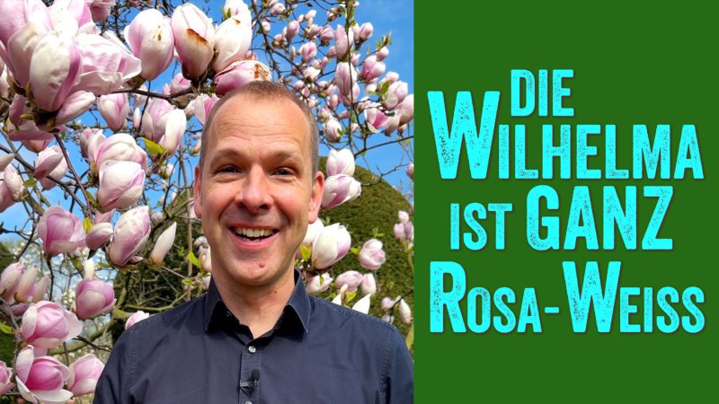  Website Helge Thun