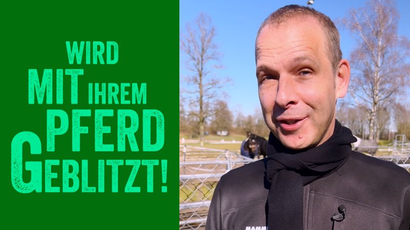  Website Helge Thun