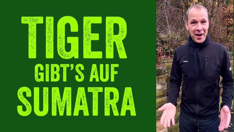  Website Helge Thun