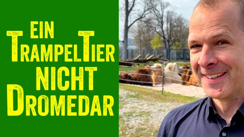  Website Helge Thun