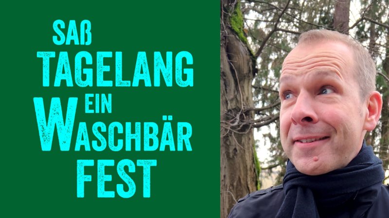  Website Helge Thun